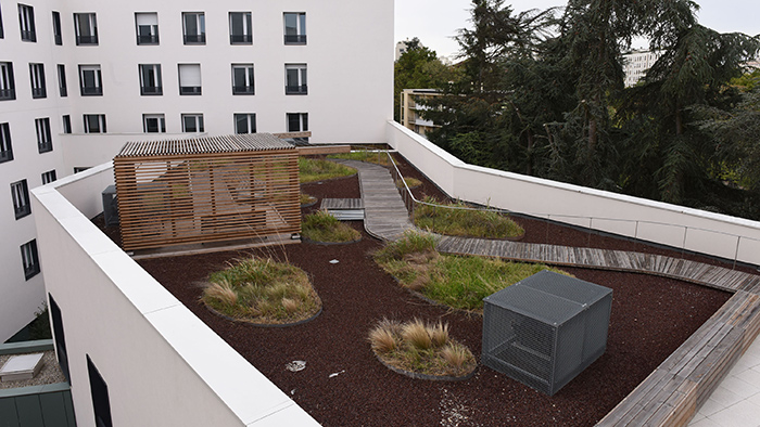 Hôpital des Massues - Toit végétalisé, terrasse Hôpital des Massues - Toit végétalisé, terrasse
