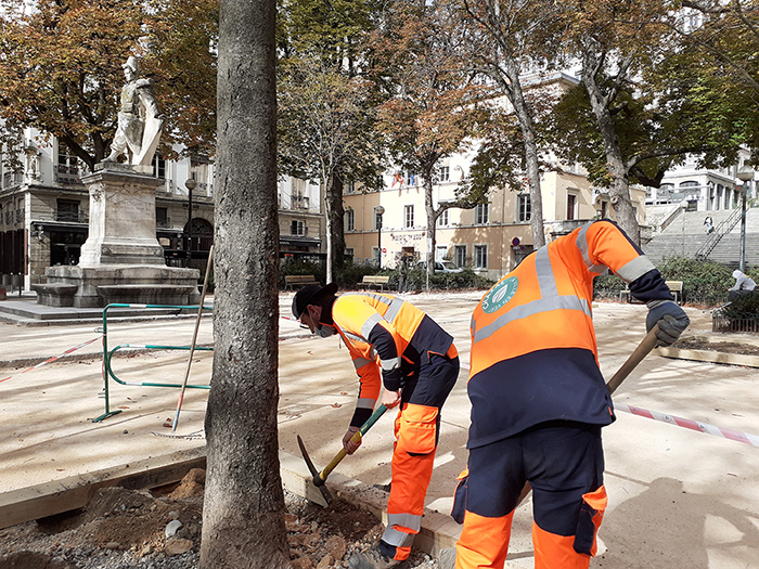 arbre satho visuel