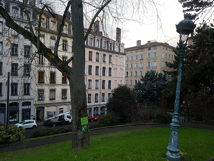 arbre visuel