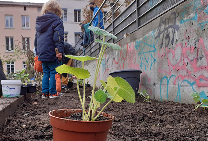 pot de plante ractanglaire