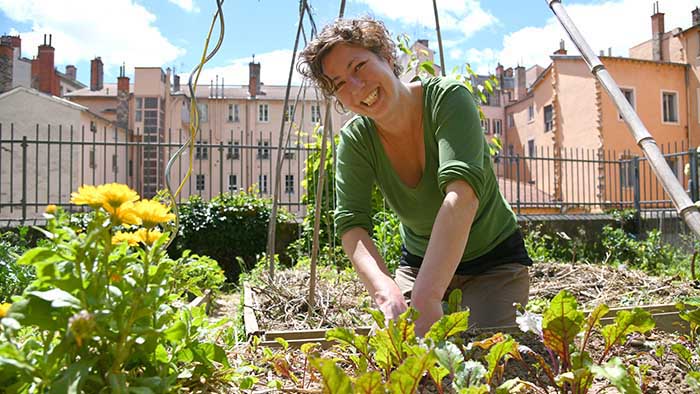 jardin pentes vertes jardin pentes vertes - Ville de Lyon