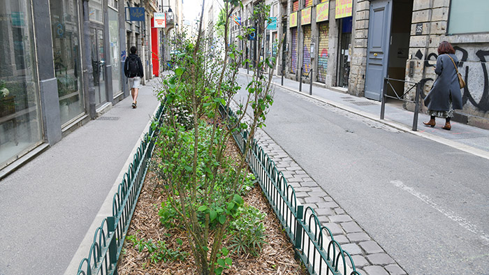 Végétalisation rue des Capucins, Lyon 1er - 10 