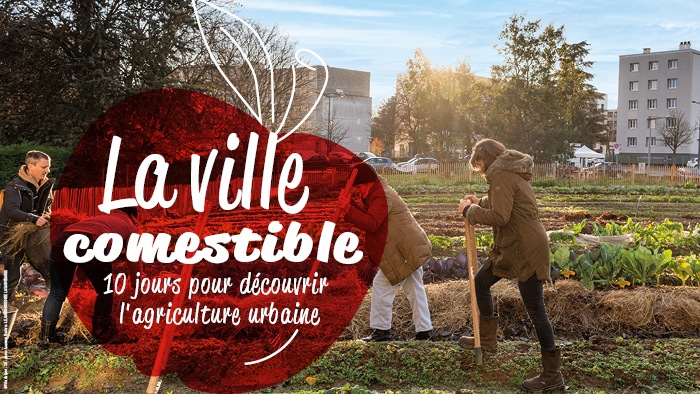 Lyon ville comestible