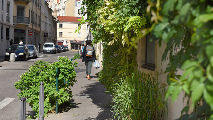 Jardin de rue - rue Chalopin, 7e arrondissement - 14 