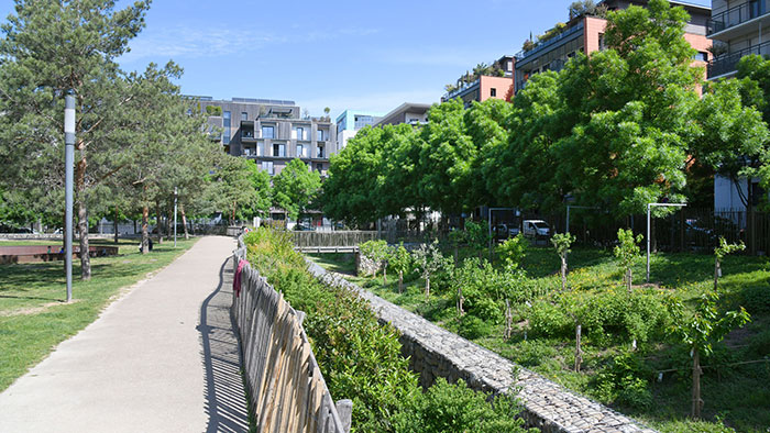 Verger urbain - Square Jacob Kaplan, Lyon 3e - 17 