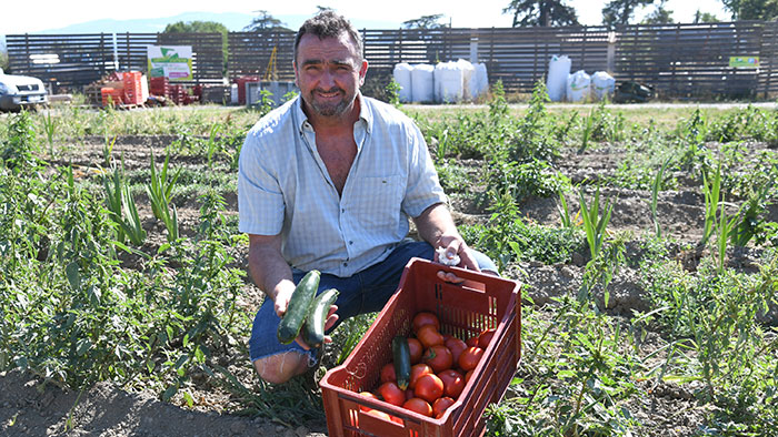 Henry Chambe cultive des légumes à Fleurieux-sur-l'Arbresle, à 22 km de la place Bellecour. - 2 