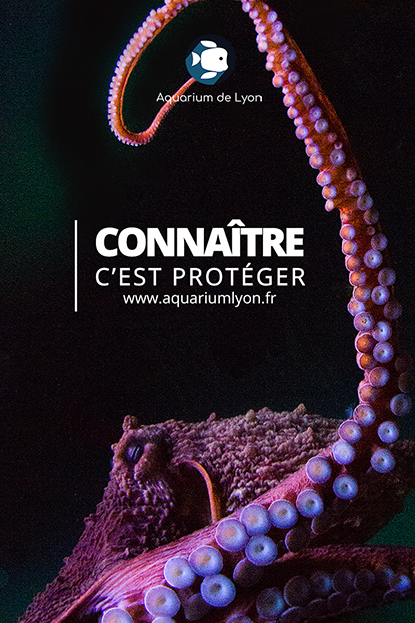 Aquarium de Lyon Aquarium de Lyon