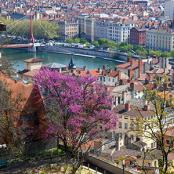 Vue des quais de Saône